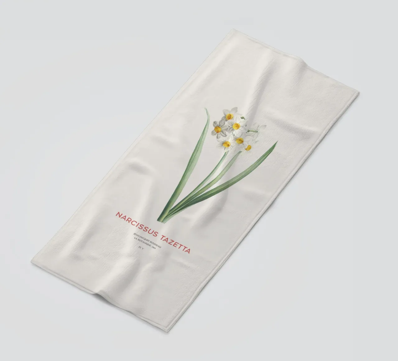 Narciso crema o Narcissus tazetta telo mare da Vintagrafica