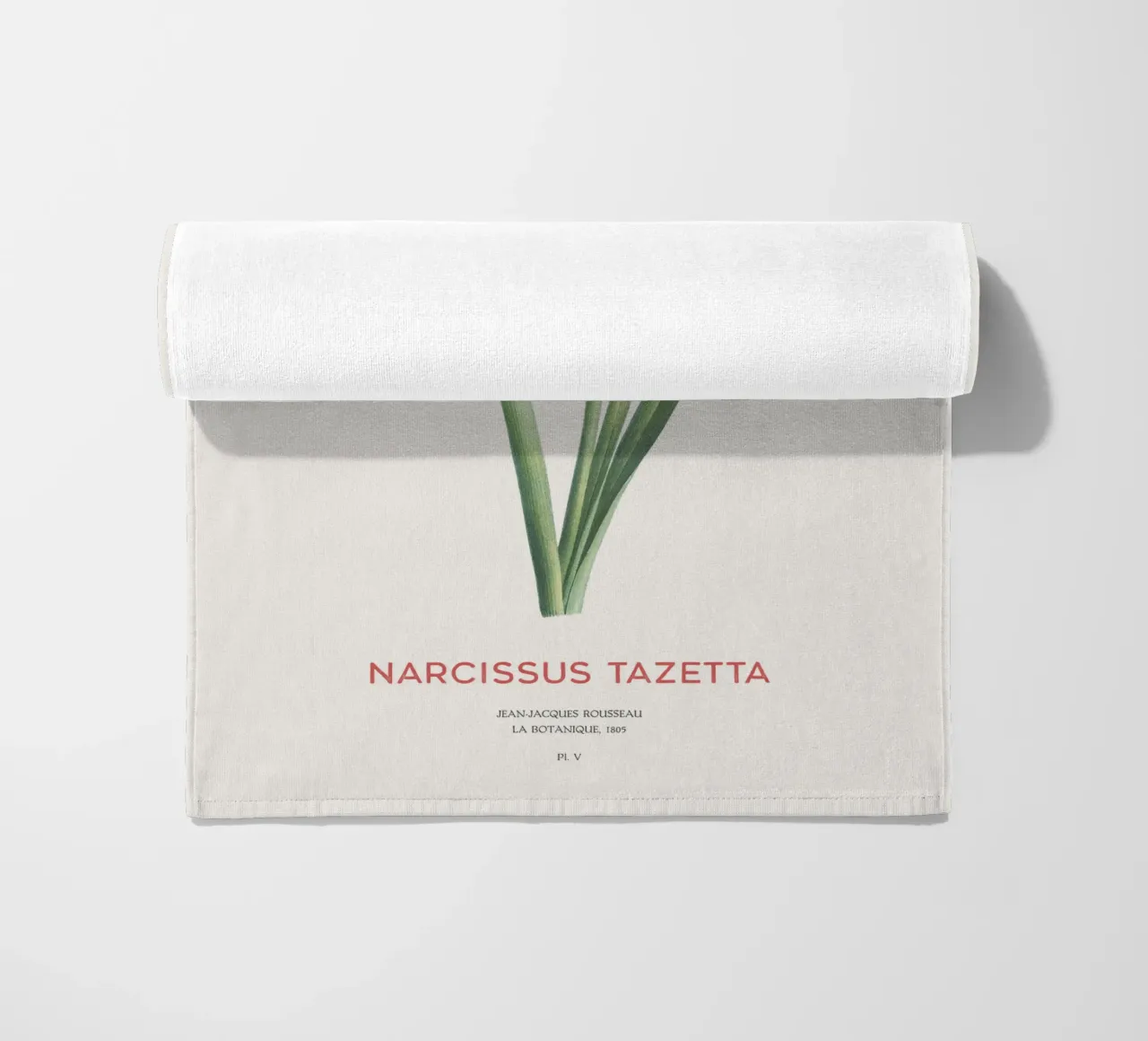 Narciso crema o Narcissus tazetta telo mare da Vintagrafica