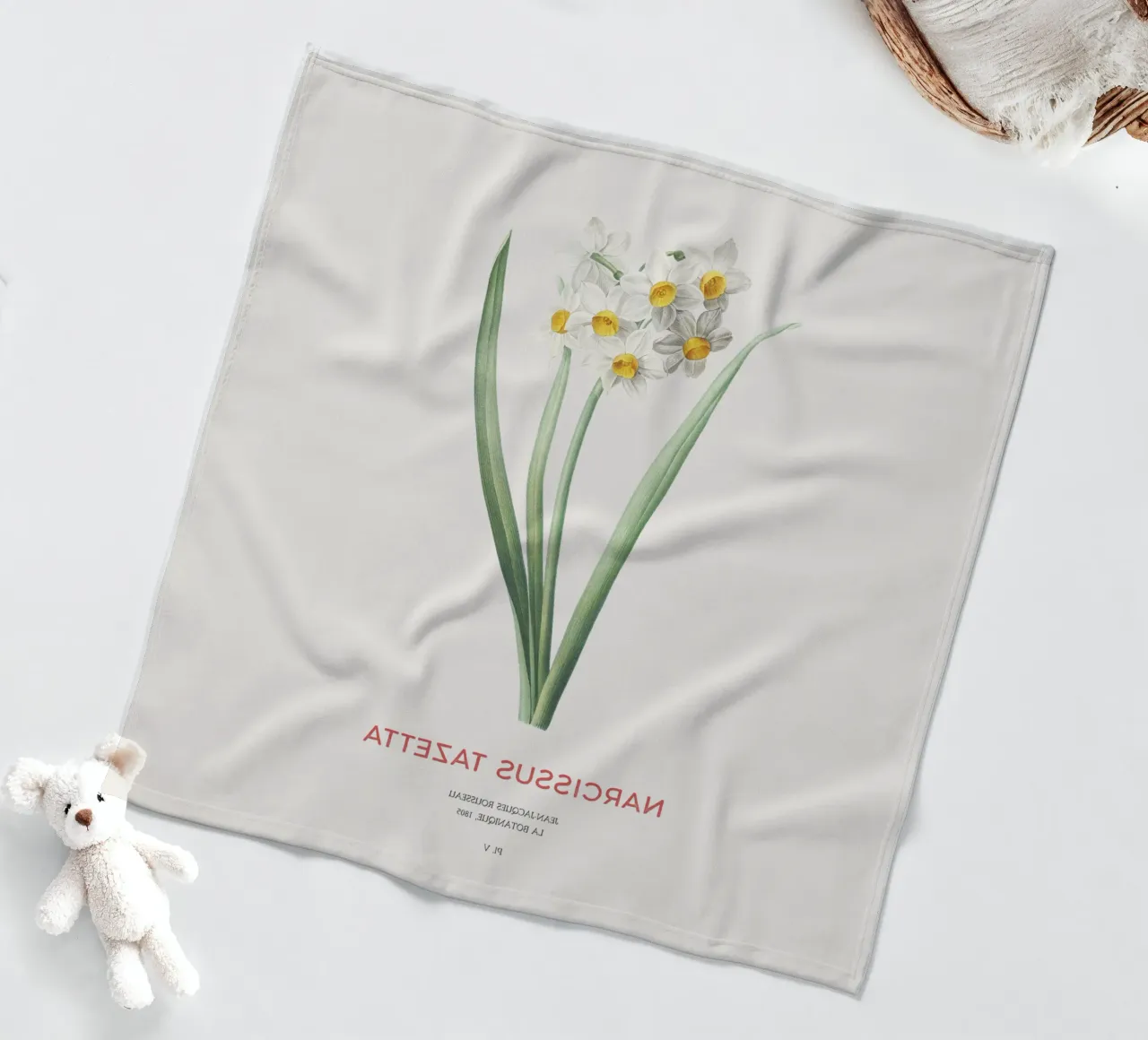 Narciso crema o Narcissus tazetta coperta in pile da Vintagrafica