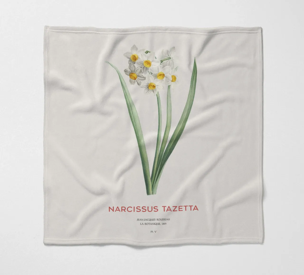 Narciso crema o Narcissus tazetta coperta in pile da Vintagrafica