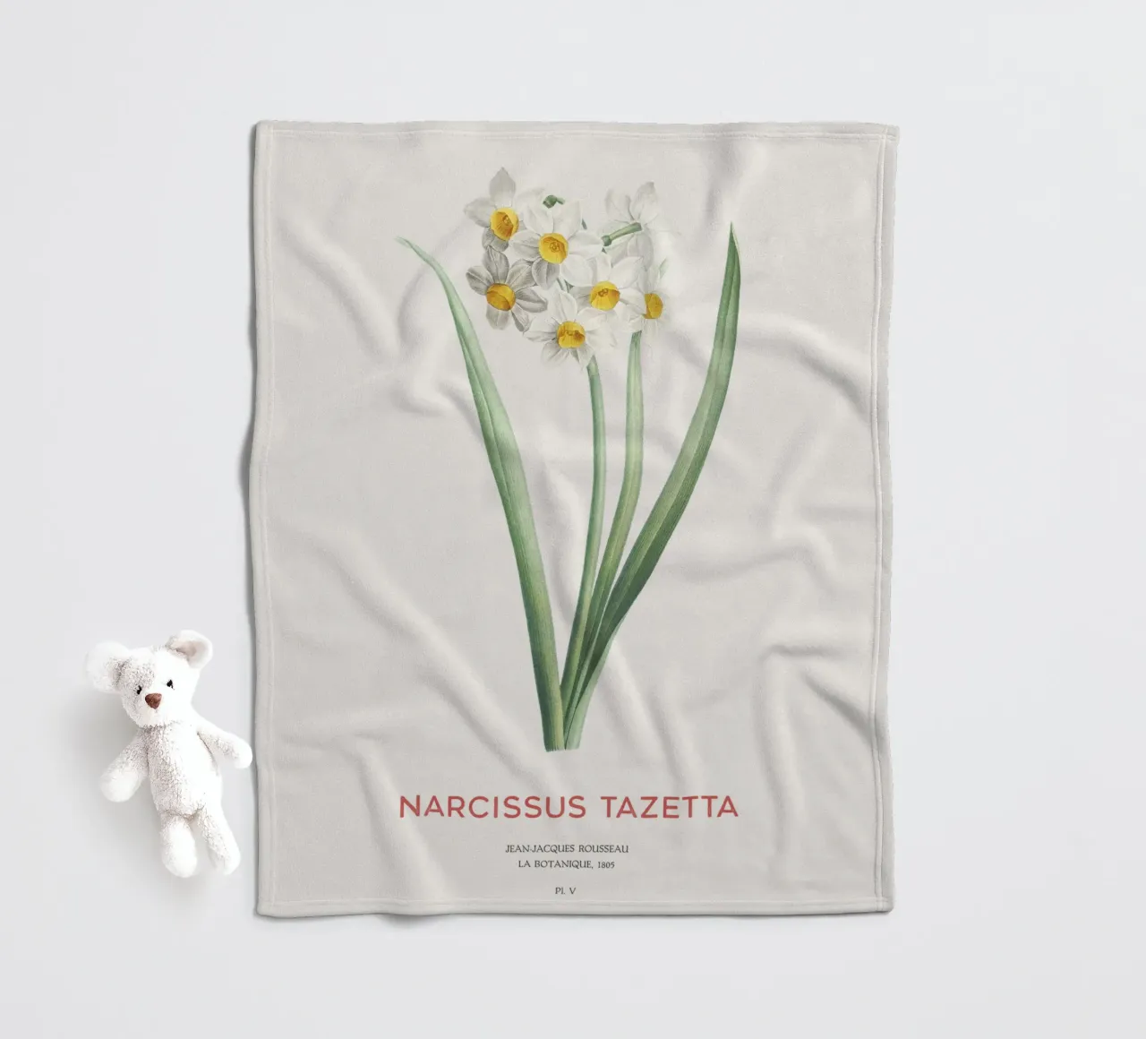 Narciso crema o Narcissus tazetta coperta in pile da Vintagrafica