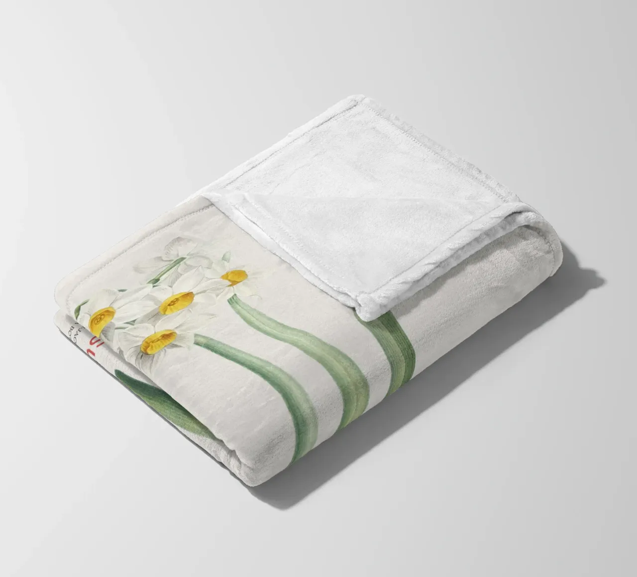 Narciso crema o Narcissus tazetta coperta in pile da Vintagrafica