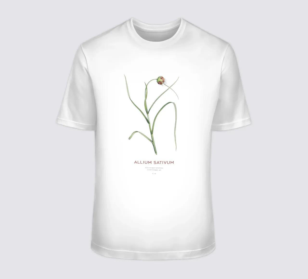 Knoblauch oder Allium sativum T-Shirt von Vintagrafica