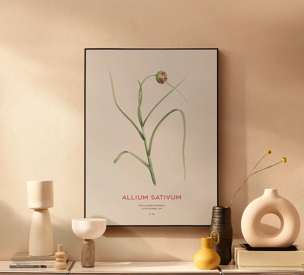 Knoblauch oder Allium sativum Acryl-Glas von Vintagrafica