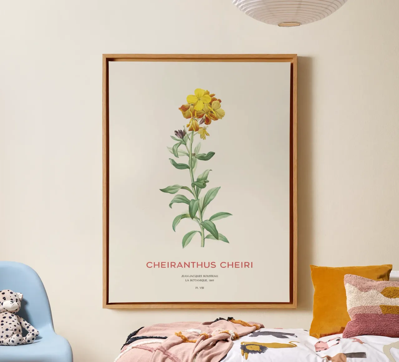 Mauerblümchen oder Cheiranthus cheiri Leinwand mit Schattenfugenrahmen von Vintagrafica