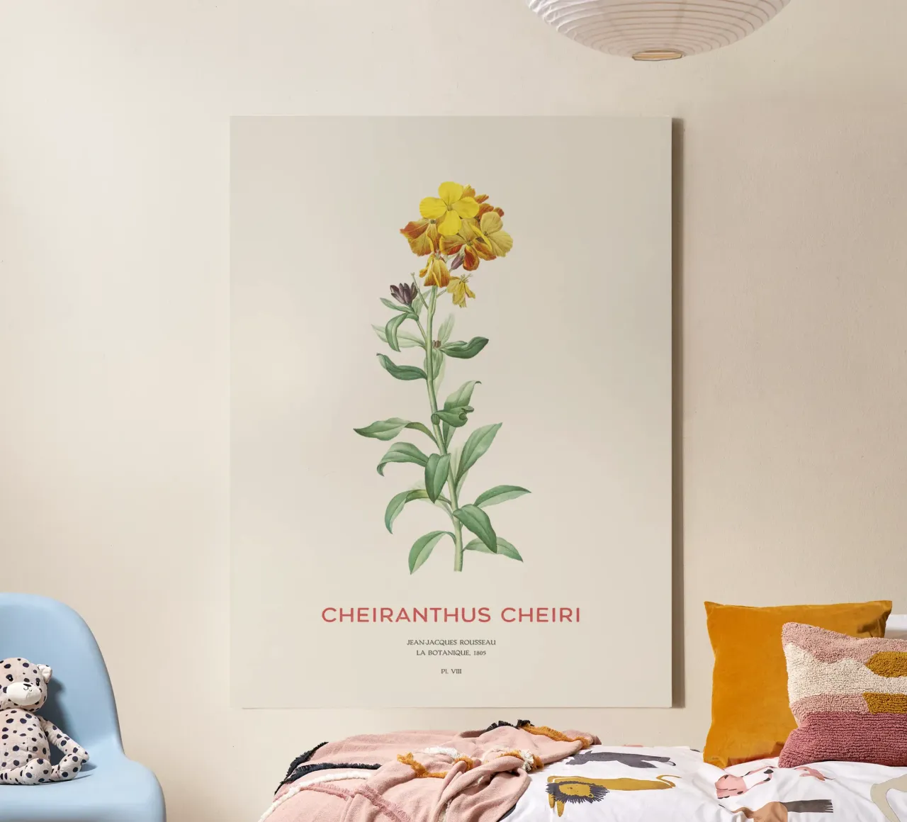 Mauerblümchen oder Cheiranthus cheiri Leinwand mit Schattenfugenrahmen von Vintagrafica