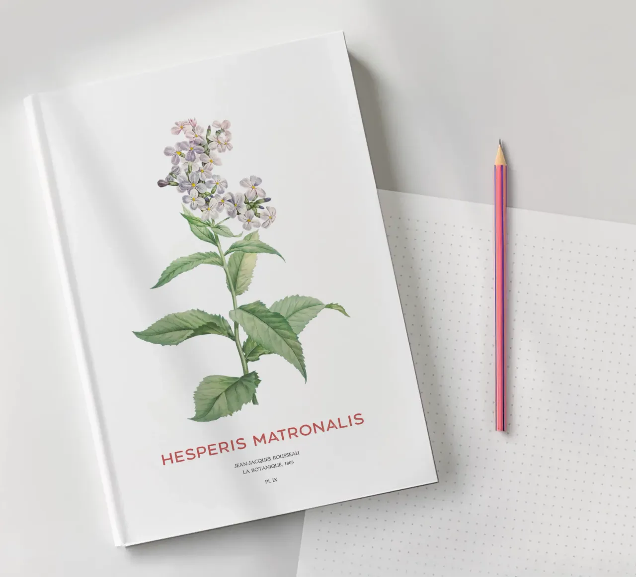 Summer lilac or Hesperis matronalis notebook by Vintagrafica