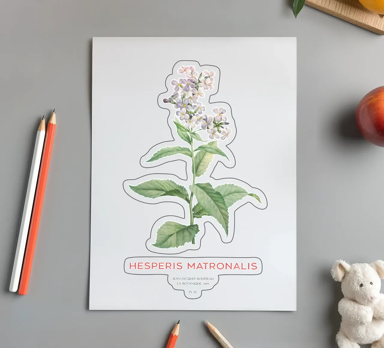 Sommerflieder oder Hesperis matronalis Stickerbogen von Vintagrafica