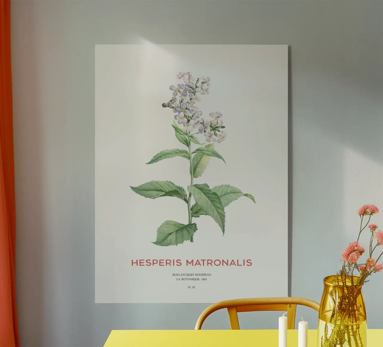 Lilas d'été ou Hesperis matronalis plexiglas de Vintagrafica