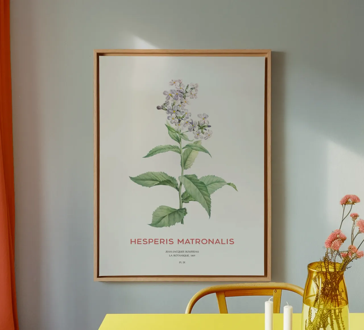 Sommerflieder oder Hesperis matronalis Leinwand mit Schattenfugenrahmen von Vintagrafica