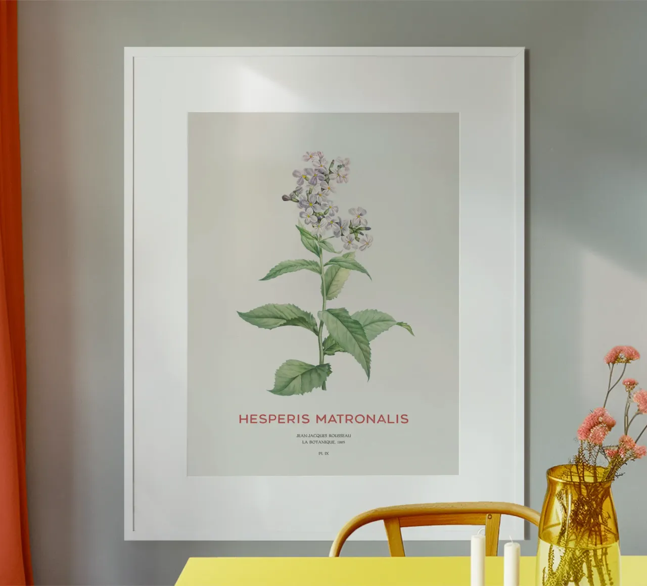 Sommerflieder oder Hesperis matronalis Hahnemühle von Vintagrafica