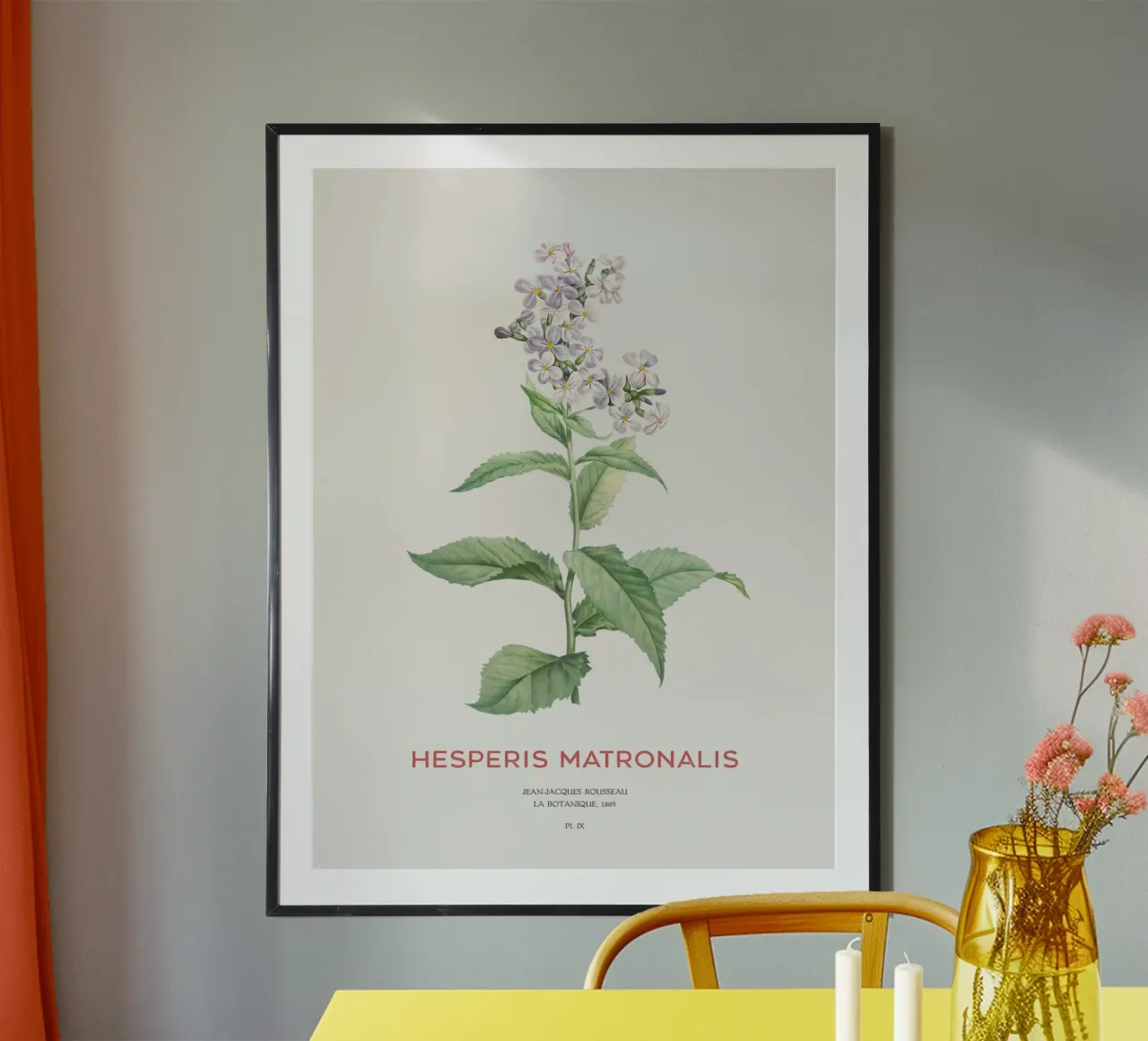 Sommerflieder oder Hesperis matronalis Hahnemühle von Vintagrafica