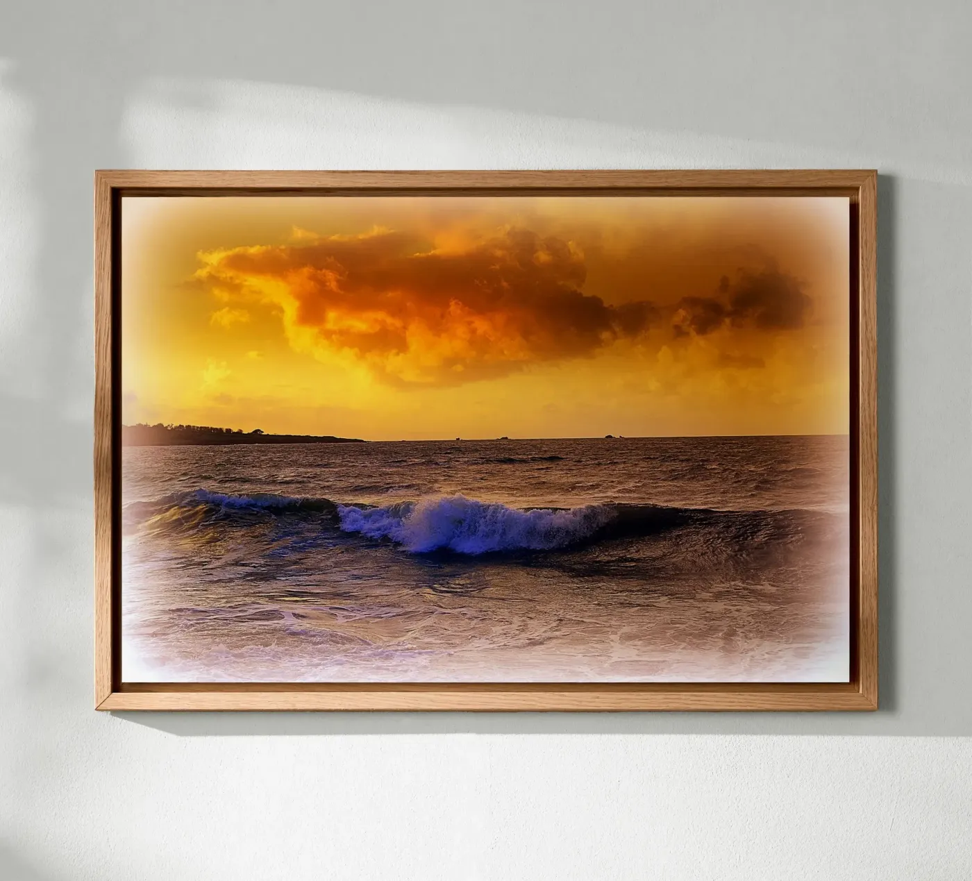 FAA189 forex plate by Thierry vobmann photography