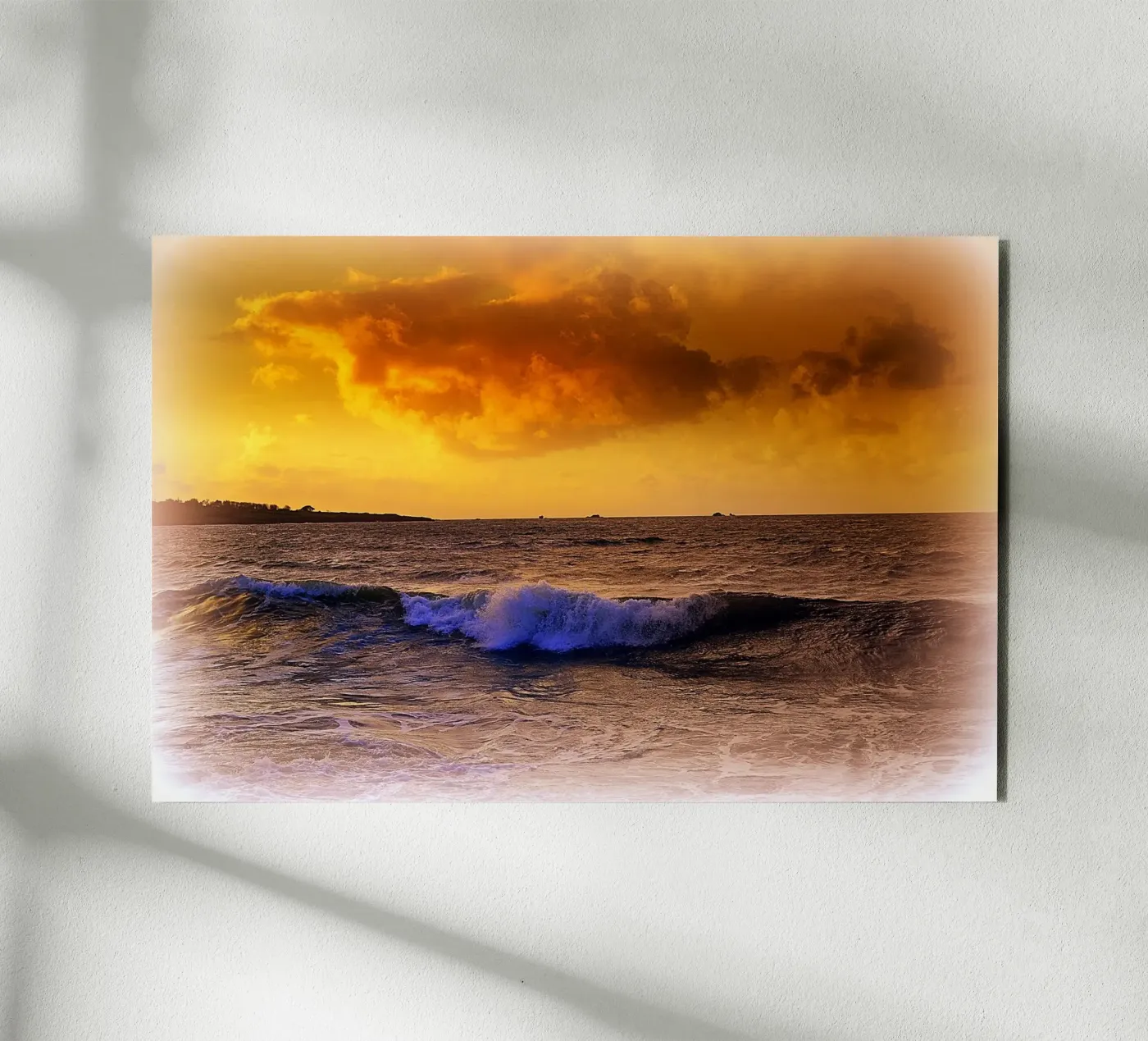 FAA189 forex plate by Thierry vobmann photography