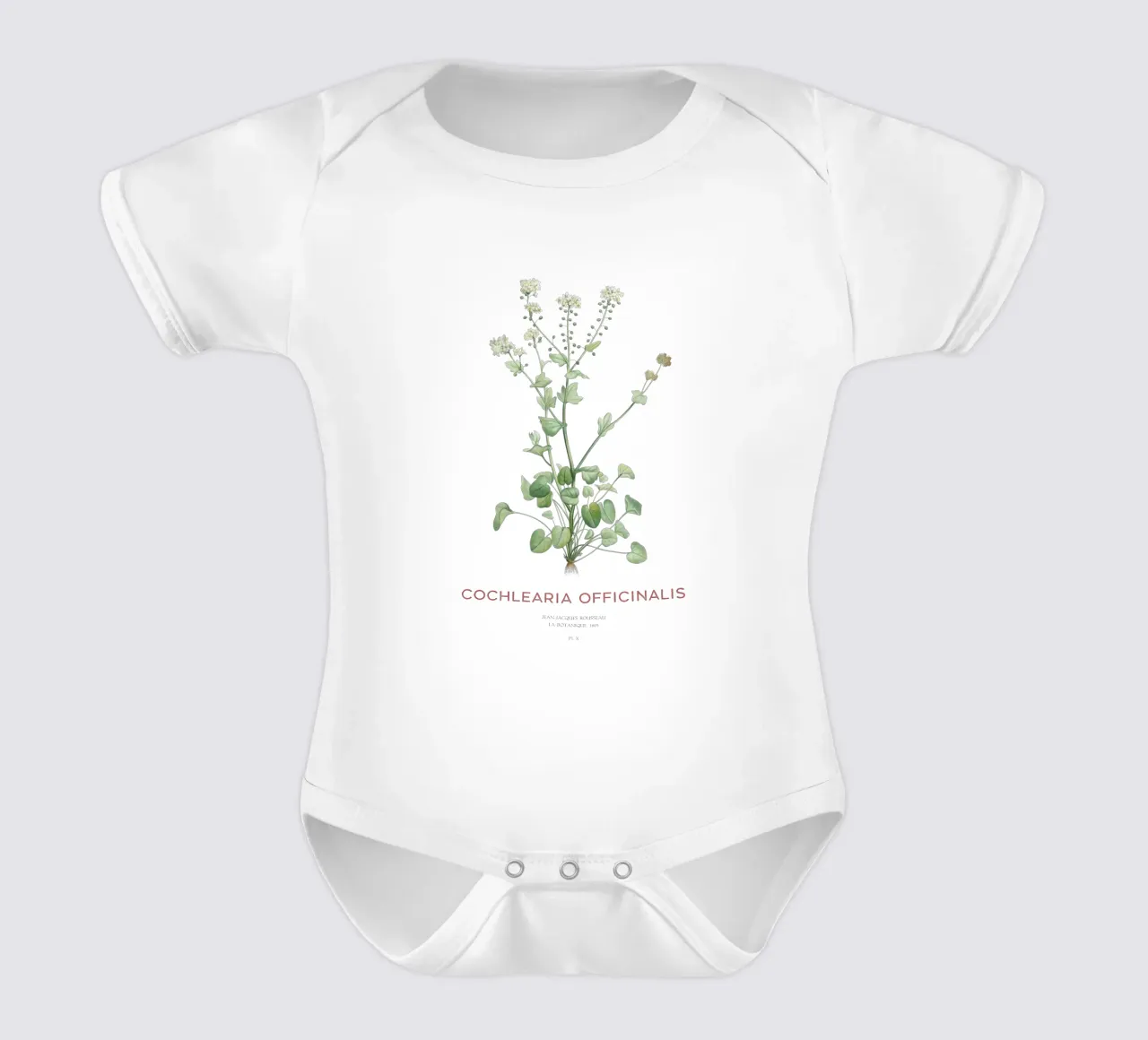 Gemeines Scharbockskraut oder Cochlearia officinalis Kurzarm Babybody von Vintagrafica