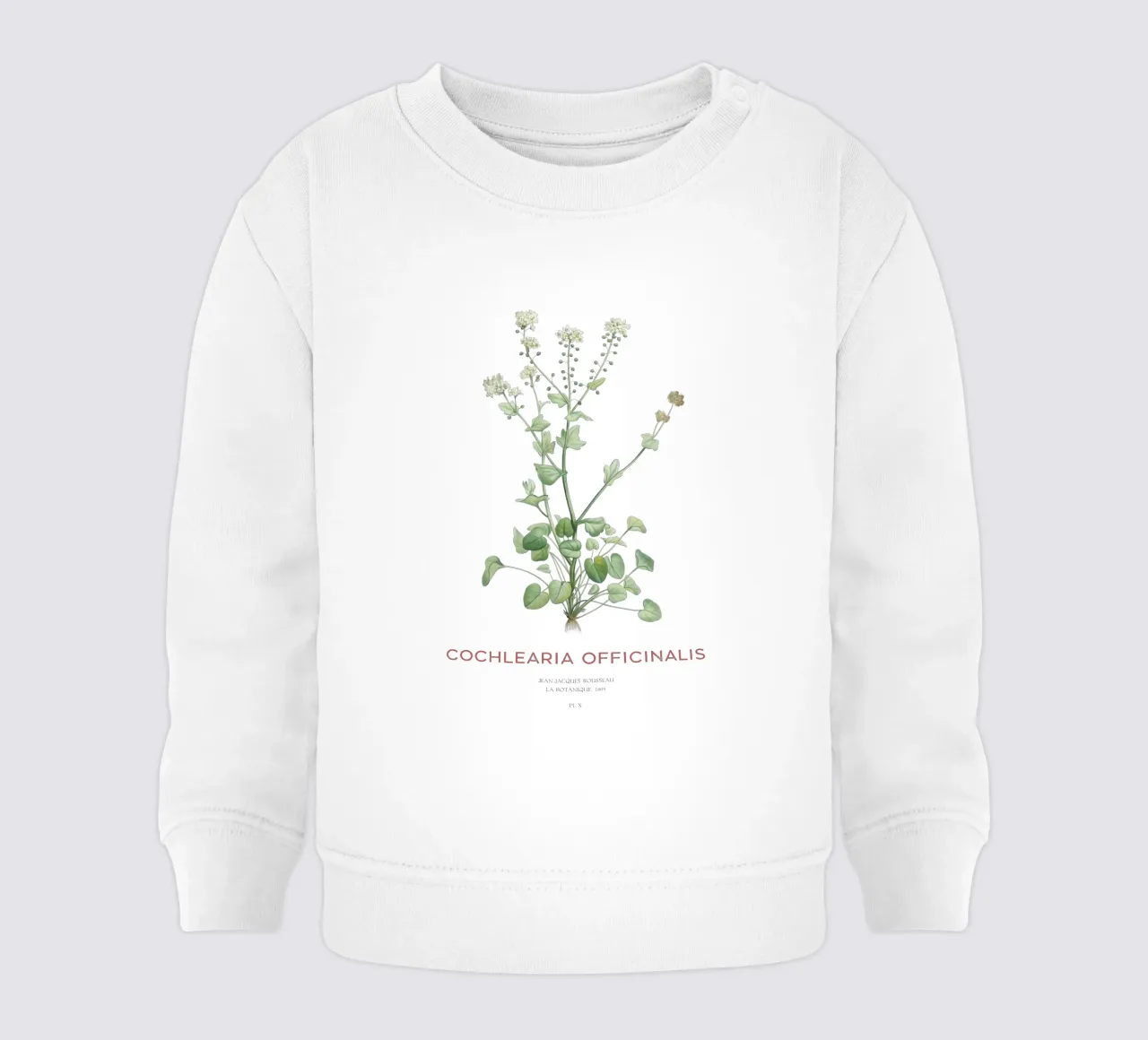 Hierba escorbuto común o Cochlearia officinalis sudadera de bebé de Vintagrafica