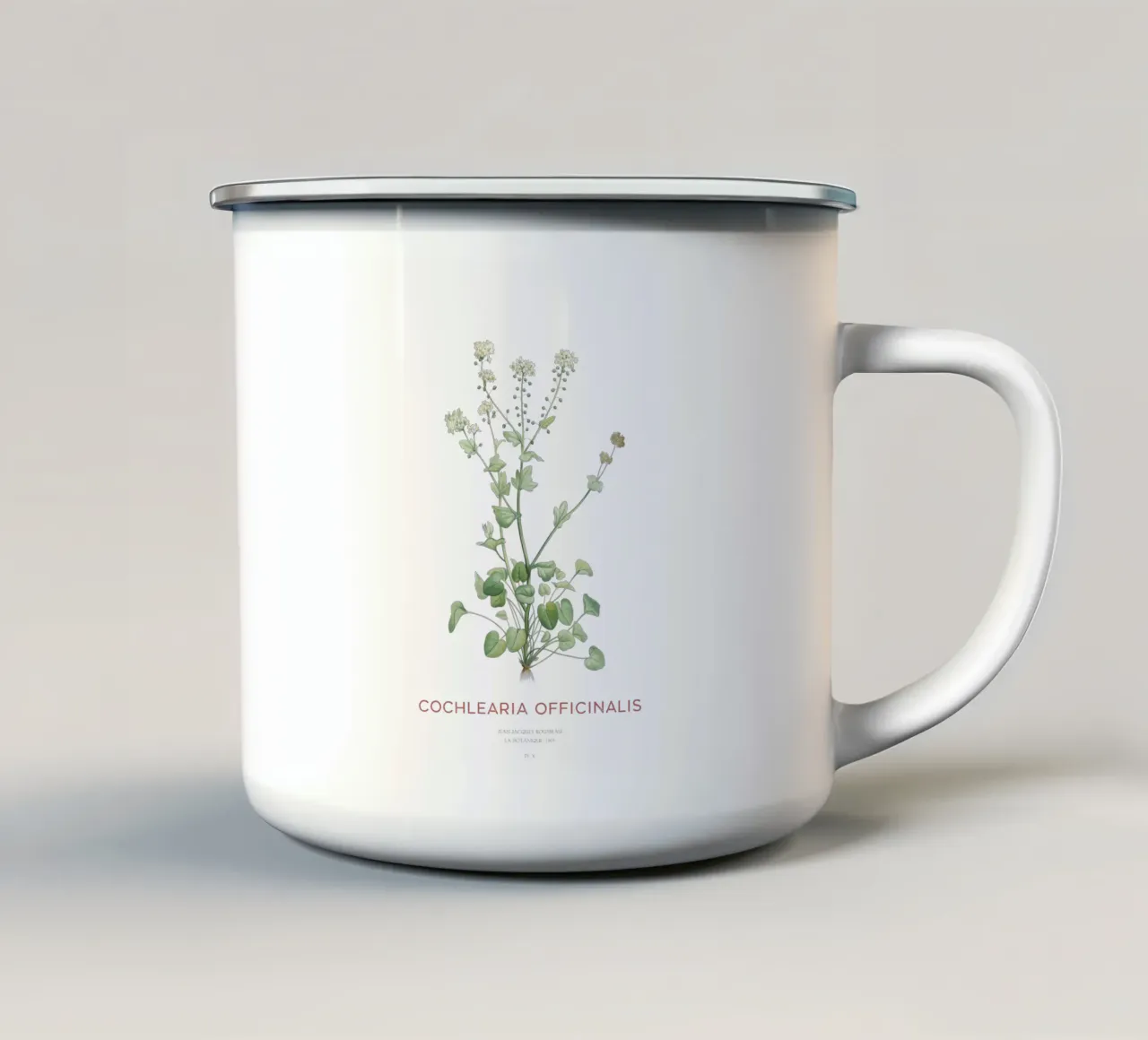 Erba scorbutica comune o Cochlearia officinalis tazza in smalto da Vintagrafica