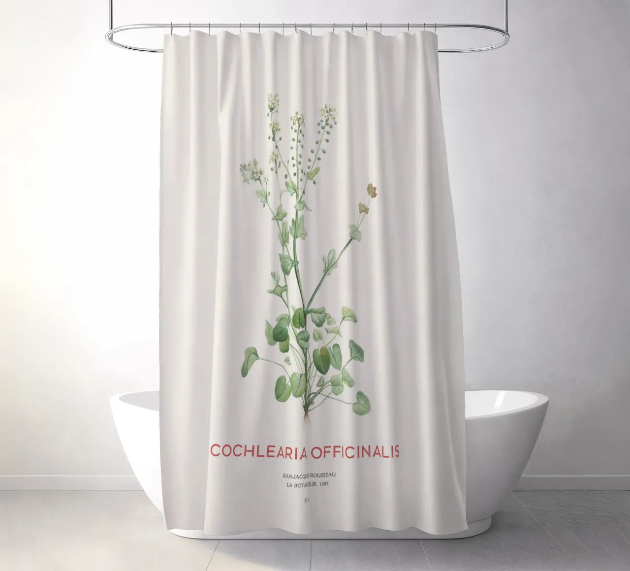 Gemeines Scharbockskraut oder Cochlearia officinalis Duschvorhang von Vintagrafica