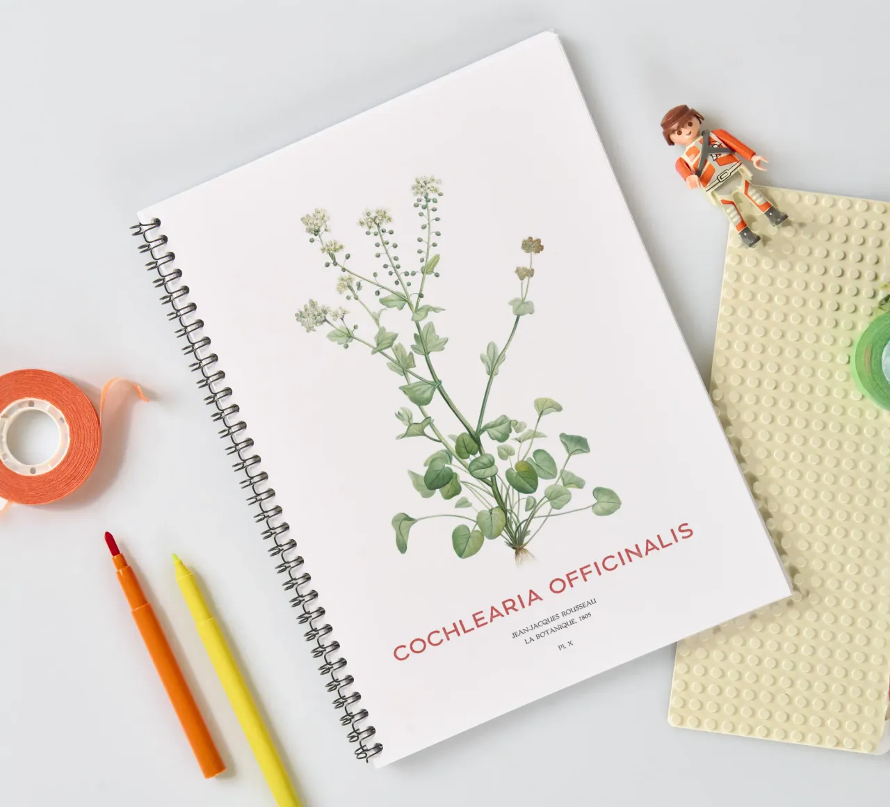 Common scurvygrass or Cochlearia officinalis spiral notebook by Vintagrafica
