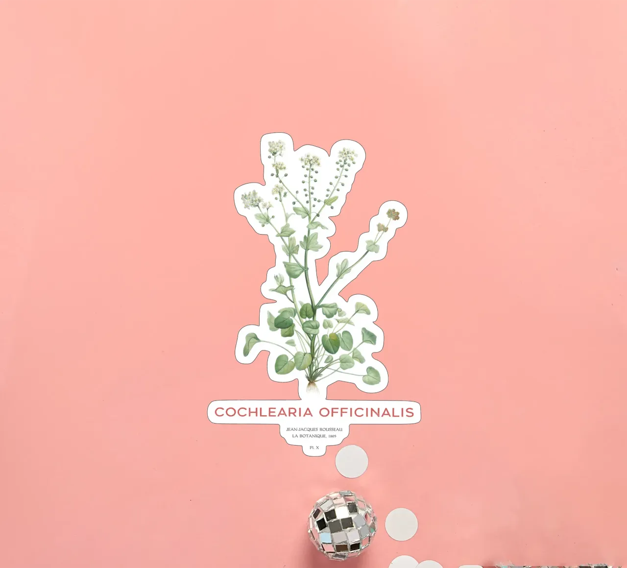 Gemeines Scharbockskraut oder Cochlearia officinalis Sticker von Vintagrafica