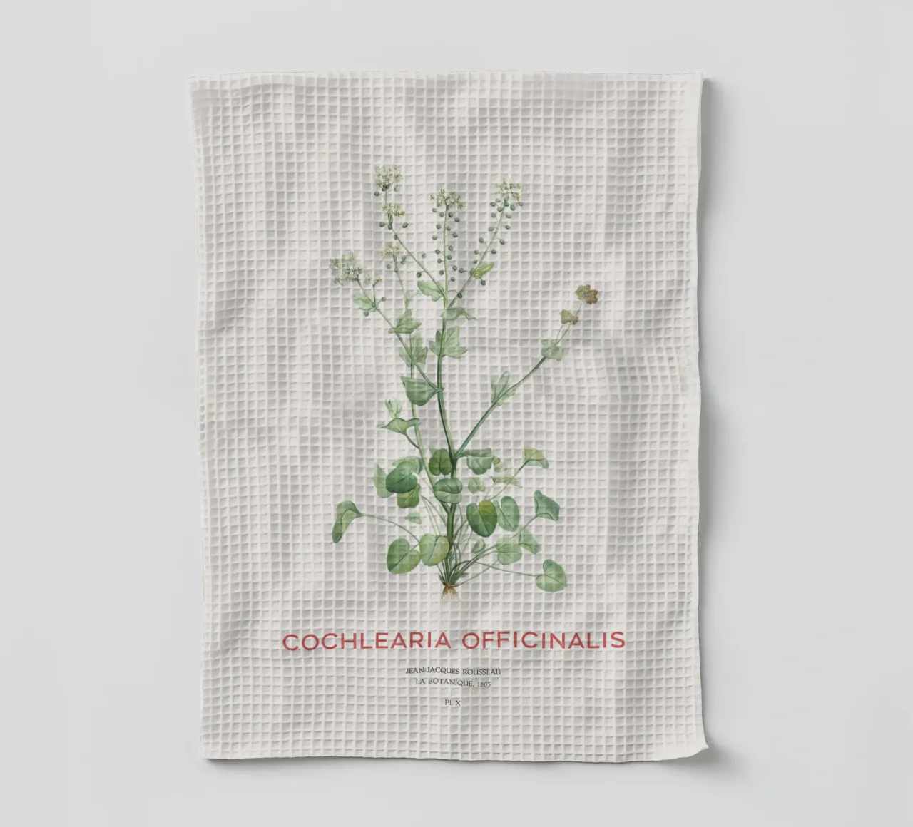 Gemeines Scharbockskraut oder Cochlearia officinalis Geschirrtuch von Vintagrafica