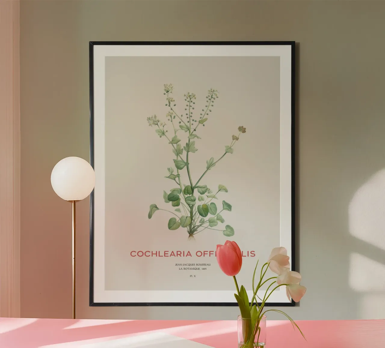 Gemeines Scharbockskraut oder Cochlearia officinalis Hahnemühle von Vintagrafica