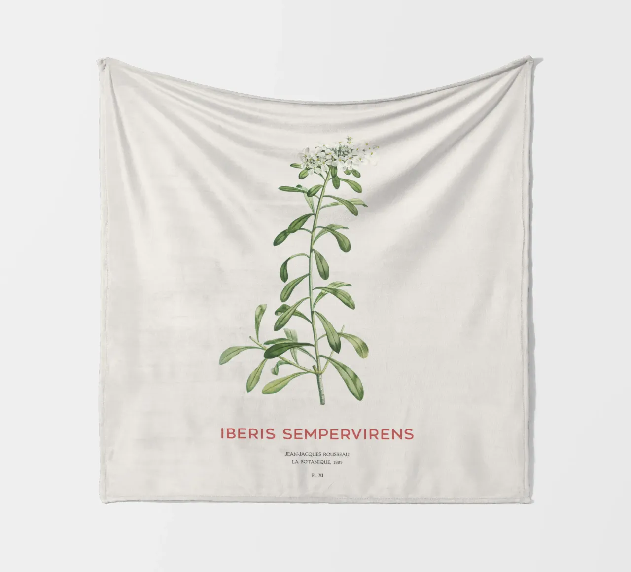 Immergrüner Zuckerhut oder Iberis sempervirens Fleecedecke von Vintagrafica