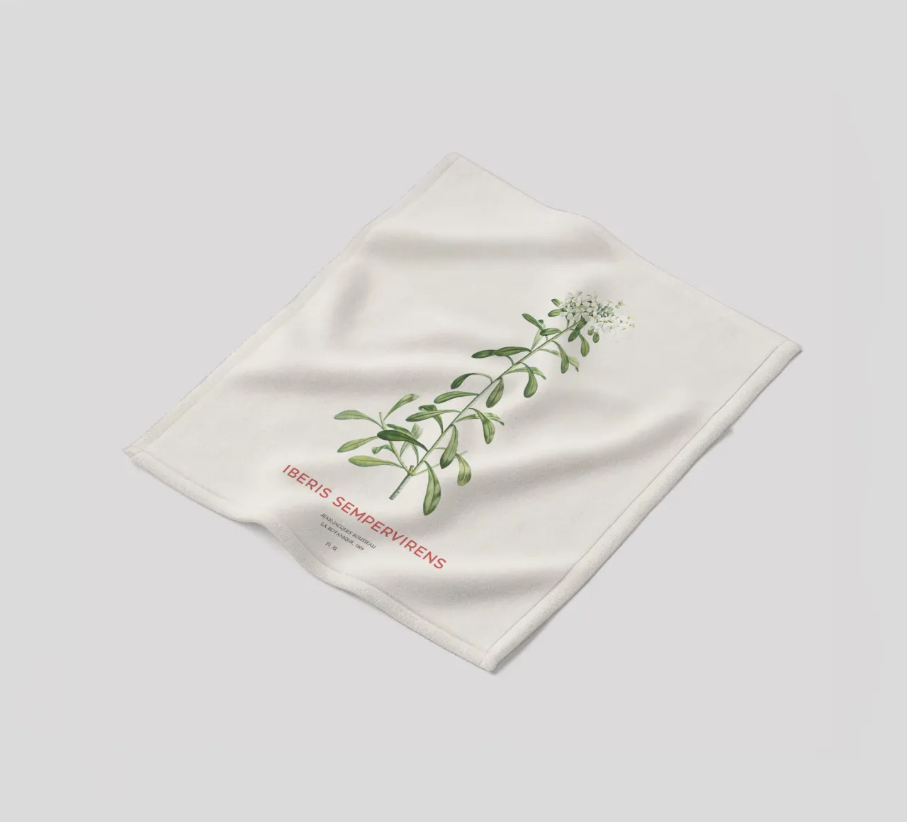 Immergrüner Zuckerhut oder Iberis sempervirens Fleecedecke von Vintagrafica