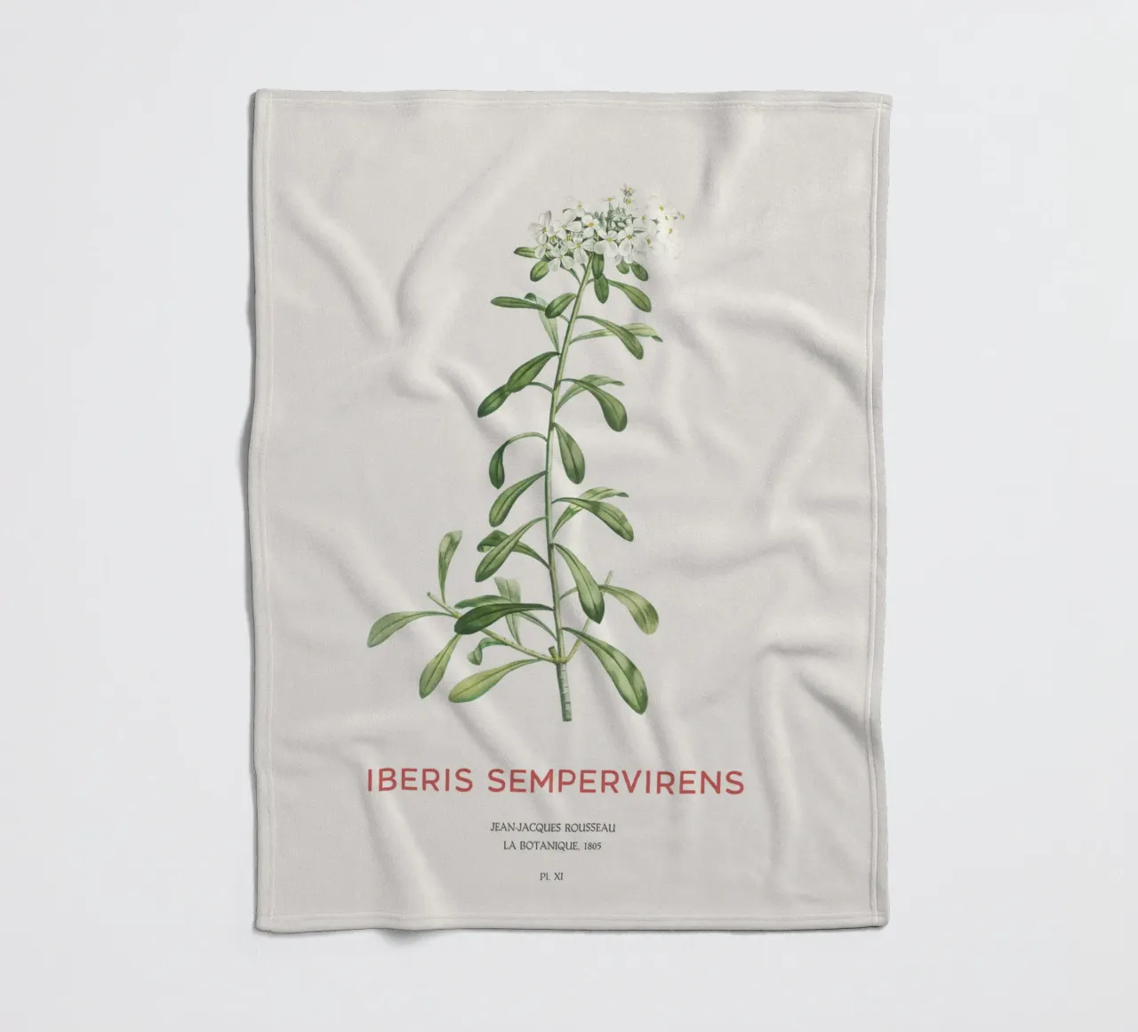 Immergrüner Zuckerhut oder Iberis sempervirens Fleecedecke von Vintagrafica