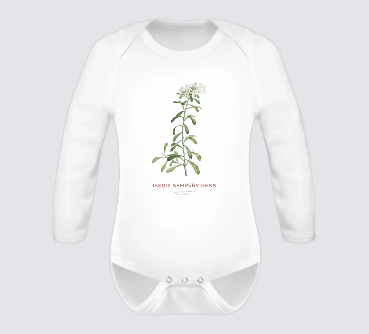 Evergreen candytuft or Iberis sempervirens long-sleeve baby romper by Vintagrafica