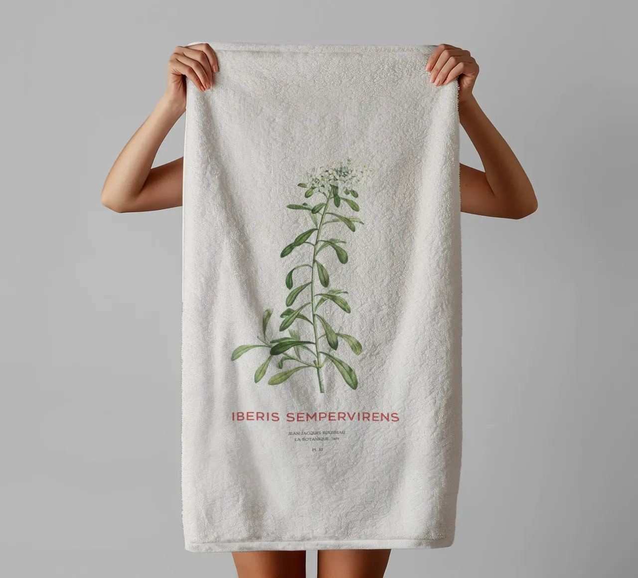Immergrüner Zuckerhut oder Iberis sempervirens Handtuch von Vintagrafica