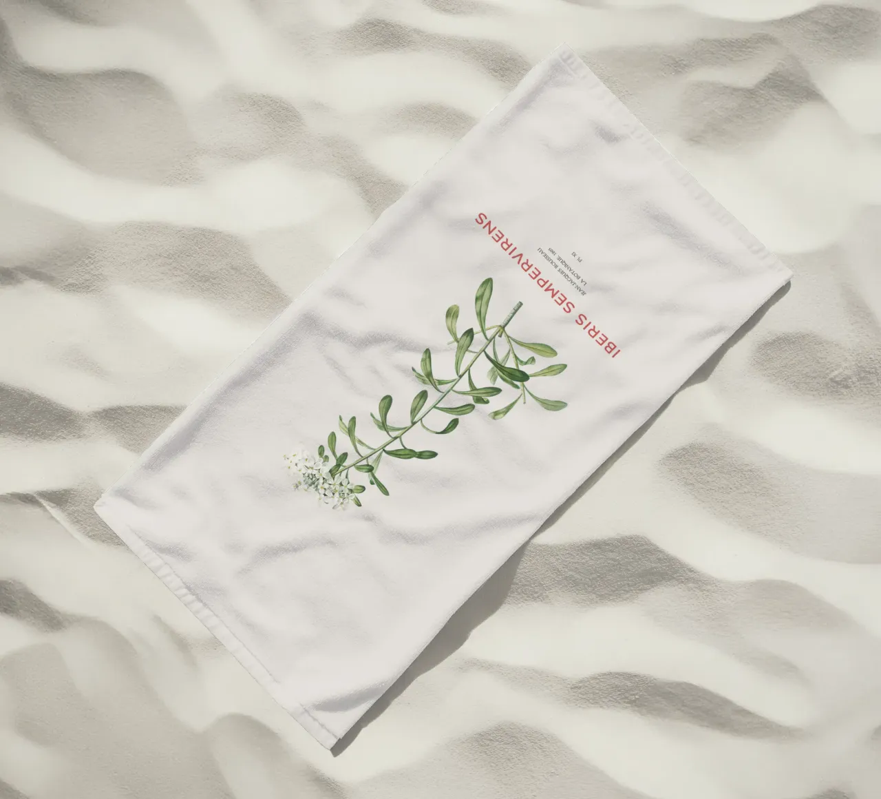 Albero delle caramelle sempreverde o Iberis sempervirens telo mare da Vintagrafica