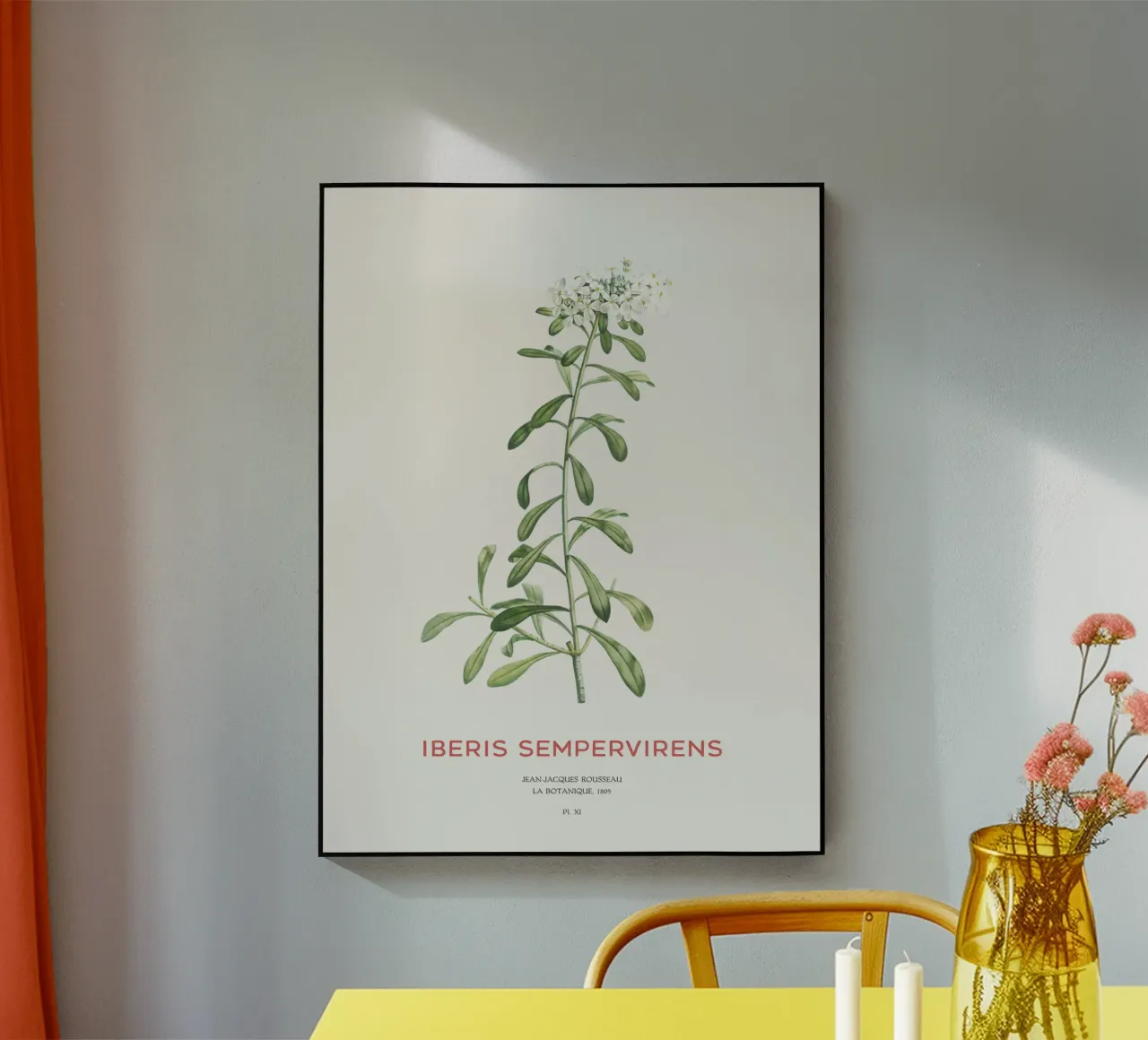 Albero delle caramelle sempreverde o Iberis sempervirens plexiglass da Vintagrafica