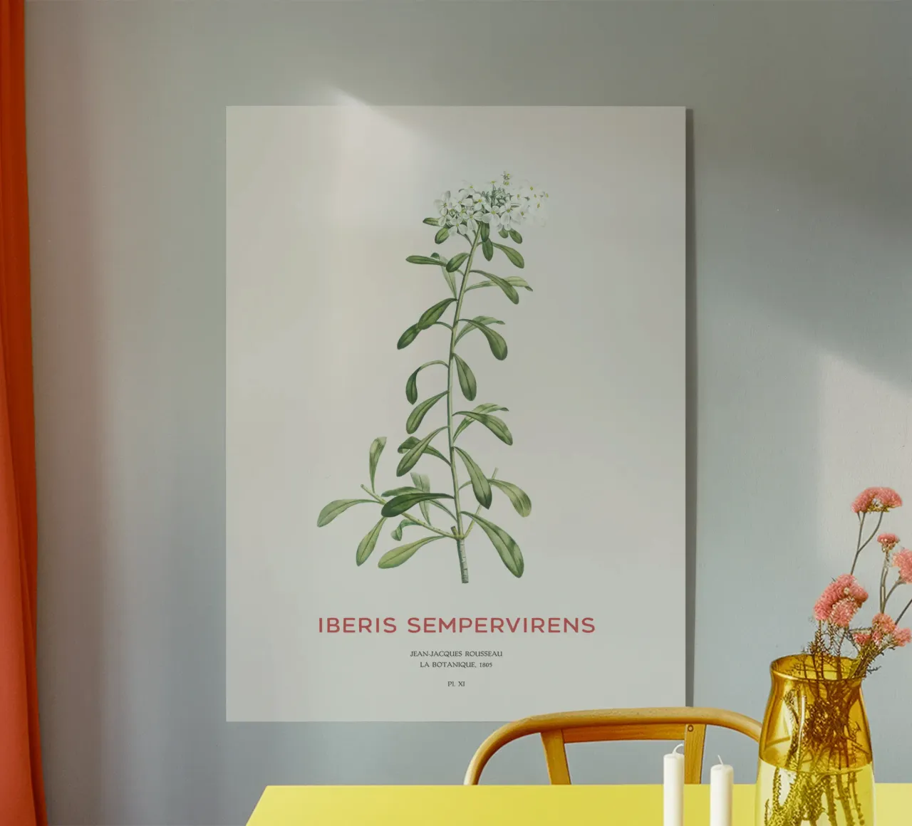 Albero delle caramelle sempreverde o Iberis sempervirens plexiglass da Vintagrafica