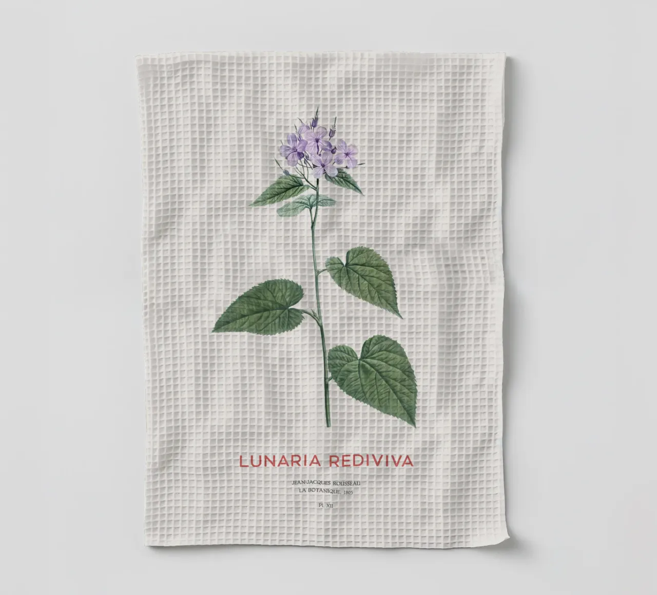 Mehrjährige Ehrlichkeit oder Lunaria rediviva Geschirrtuch von Vintagrafica