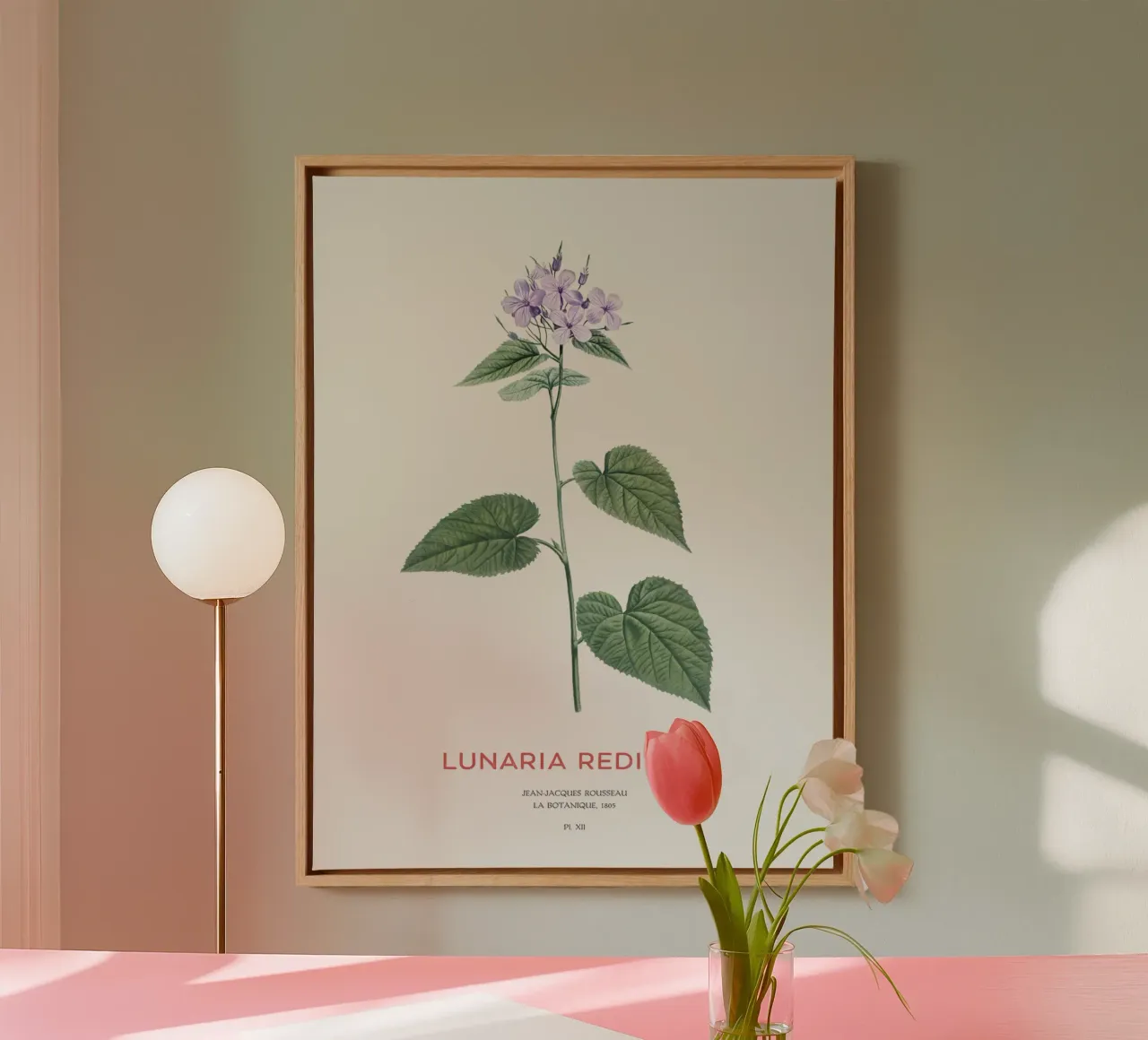 Mehrjährige Ehrlichkeit oder Lunaria rediviva Leinwand mit Schattenfugenrahmen von Vintagrafica