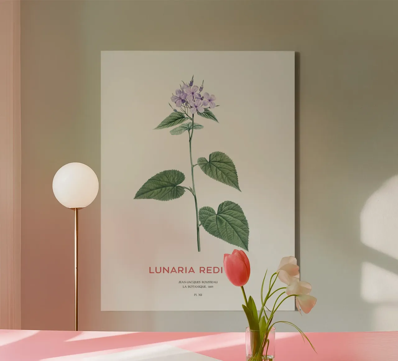 Mehrjährige Ehrlichkeit oder Lunaria rediviva Leinwand mit Schattenfugenrahmen von Vintagrafica