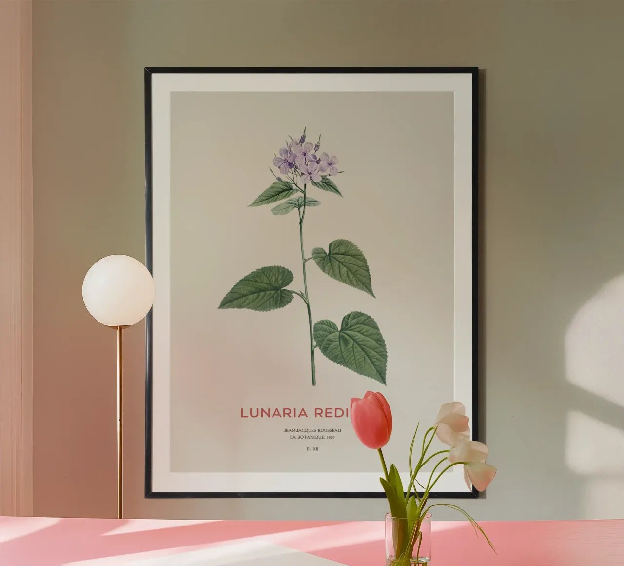 Honnêteté vivace ou Lunaria rediviva poster de Vintagrafica