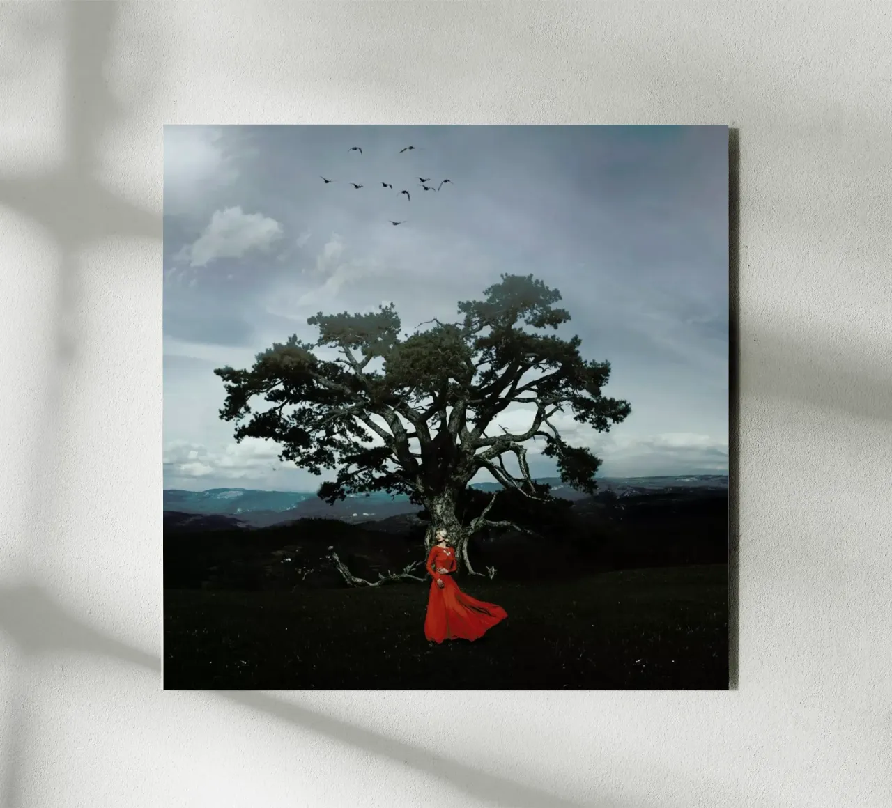 Connection Between Sky And Earth alluminio dibond da Jovana Rikalo