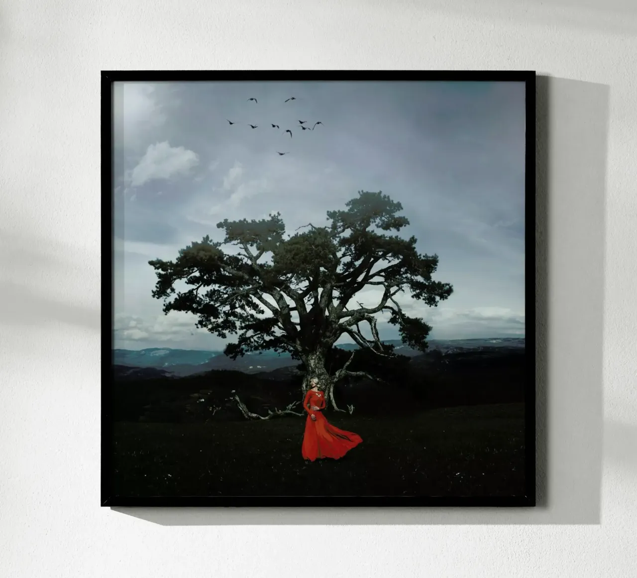 Connection Between Sky And Earth carta hahnemühle da Jovana Rikalo