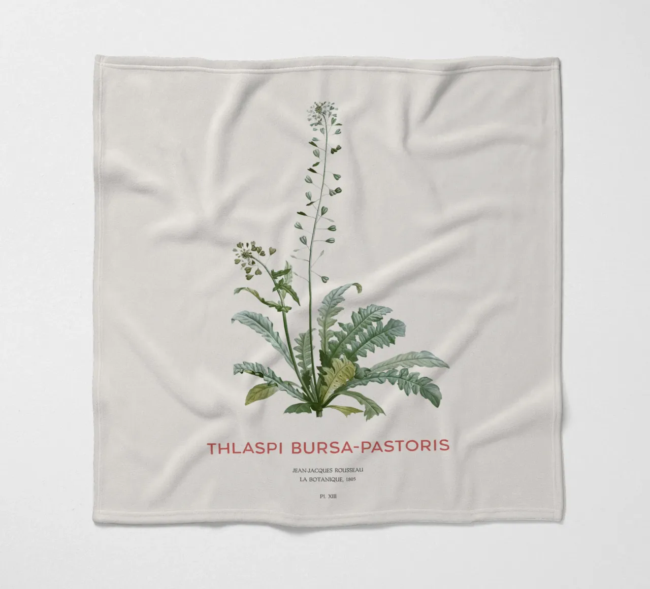 Hirtentäschel oder Thlaspi bursa-pastoris Fleecedecke von Vintagrafica