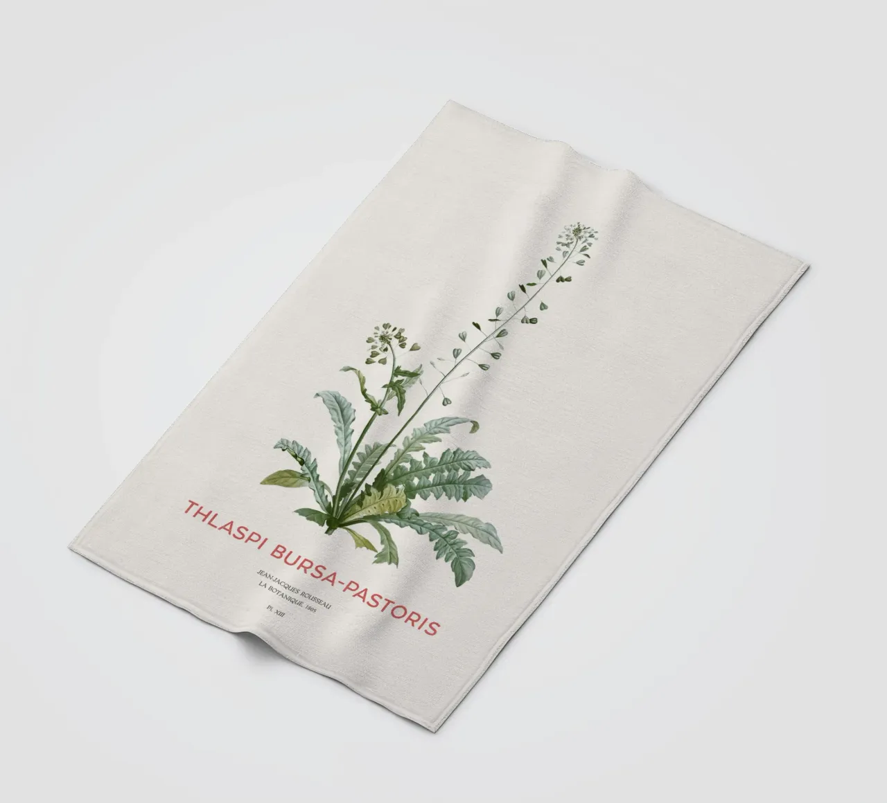 Hirtentäschel oder Thlaspi bursa-pastoris Fleecedecke von Vintagrafica