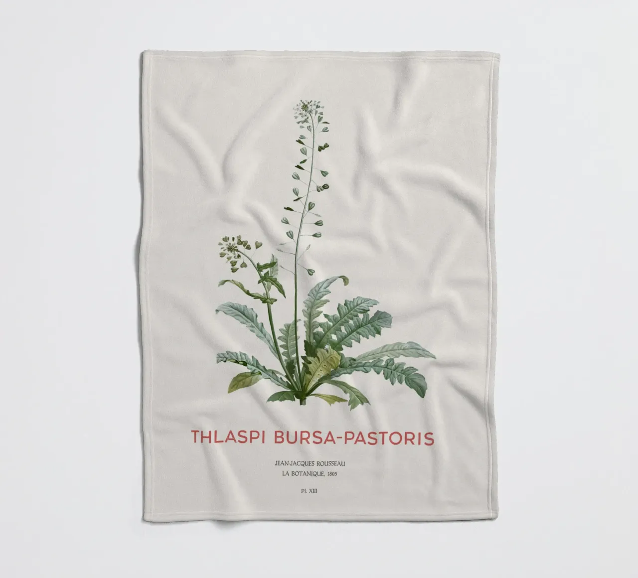 Hirtentäschel oder Thlaspi bursa-pastoris Fleecedecke von Vintagrafica