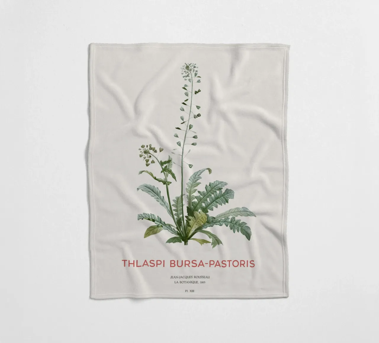 Hirtentäschel oder Thlaspi bursa-pastoris Fleecedecke von Vintagrafica
