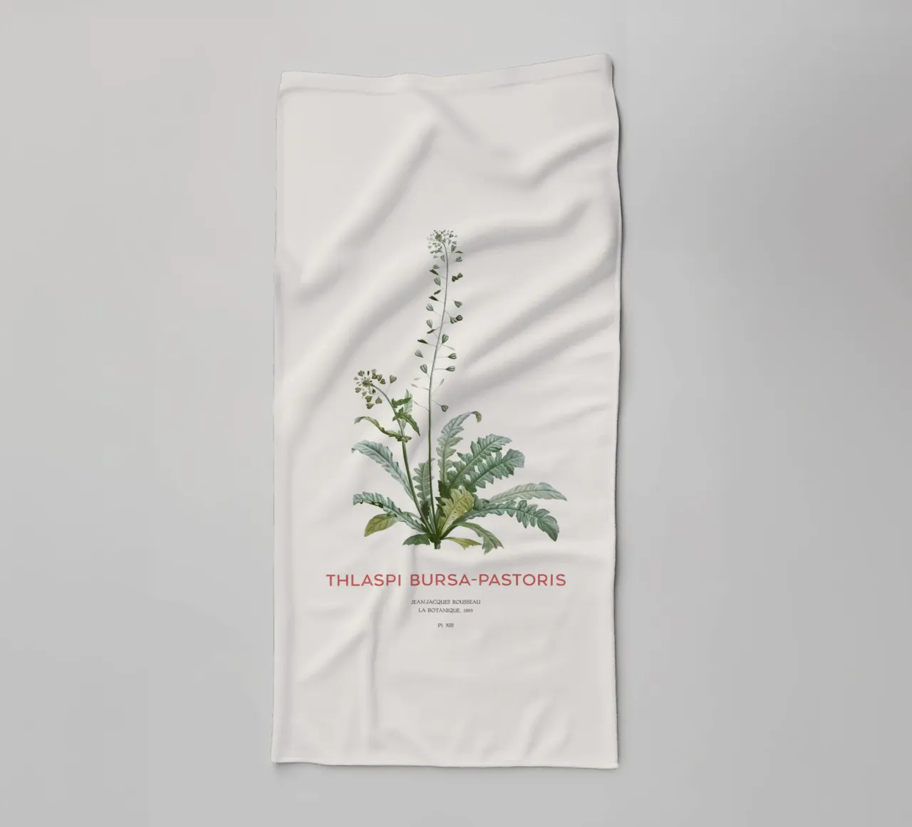 Shepherd's purse or Thlaspi bursa-pastoris towel by Vintagrafica