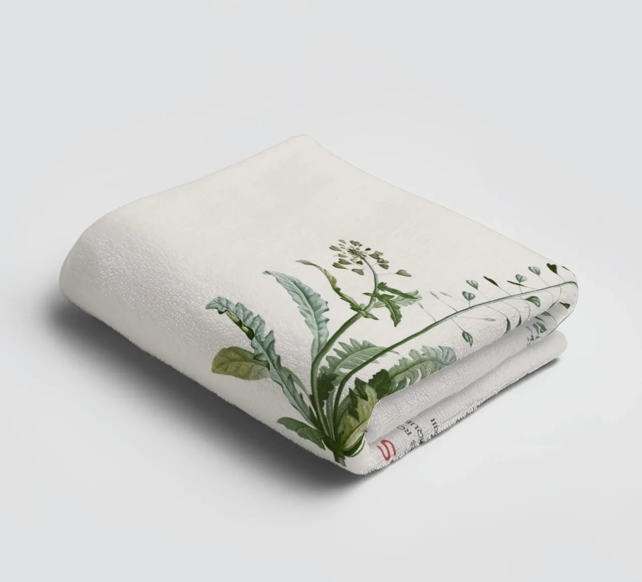 Shepherd's purse or Thlaspi bursa-pastoris towel by Vintagrafica