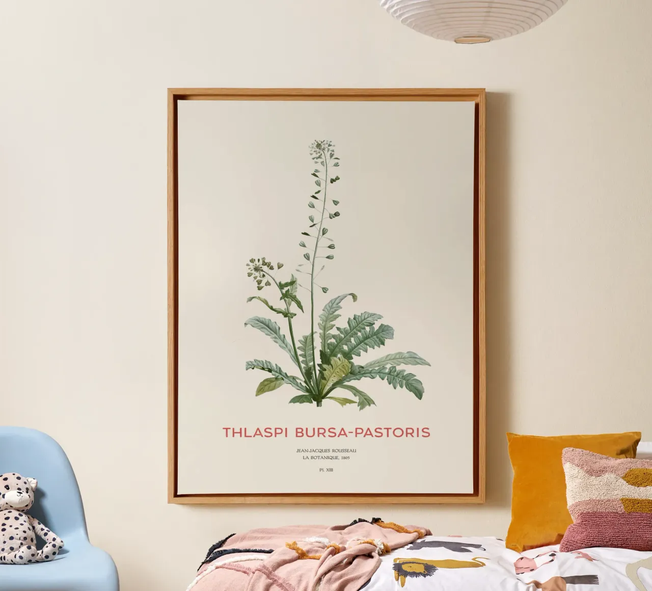 Hirtentäschel oder Thlaspi bursa-pastoris Leinwand mit Schattenfugenrahmen von Vintagrafica