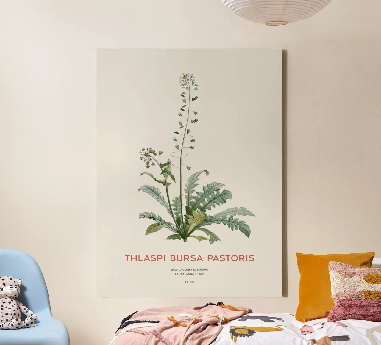 Hirtentäschel oder Thlaspi bursa-pastoris Leinwand mit Schattenfugenrahmen von Vintagrafica