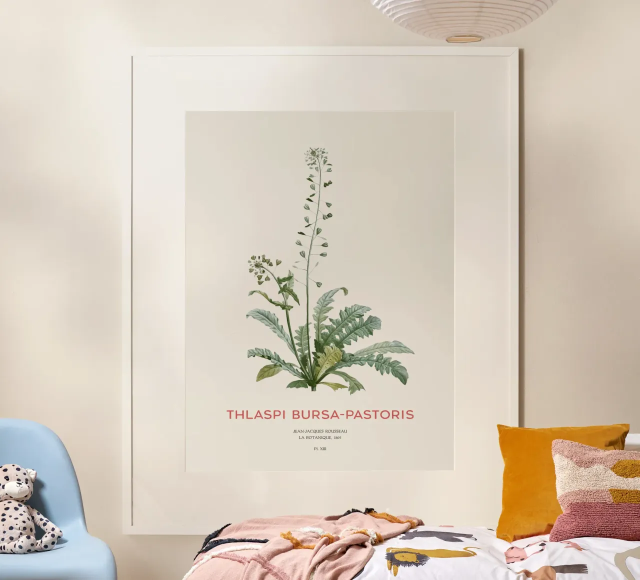 Hirtentäschel oder Thlaspi bursa-pastoris Poster von Vintagrafica