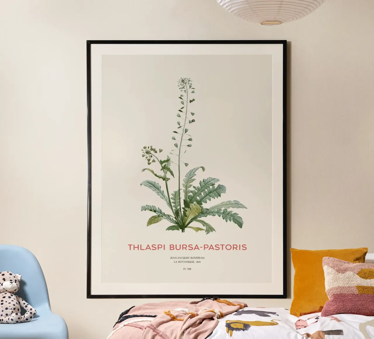 Hirtentäschel oder Thlaspi bursa-pastoris Poster von Vintagrafica